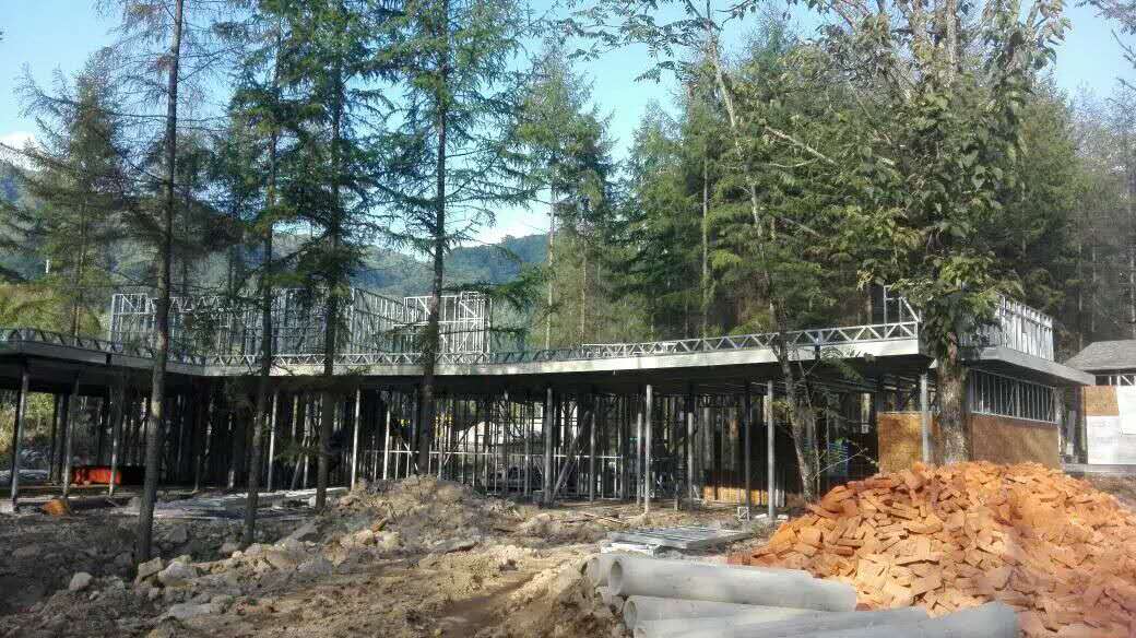 植樹節——讓鋼結構廠家的綠色建筑遍布神州大地